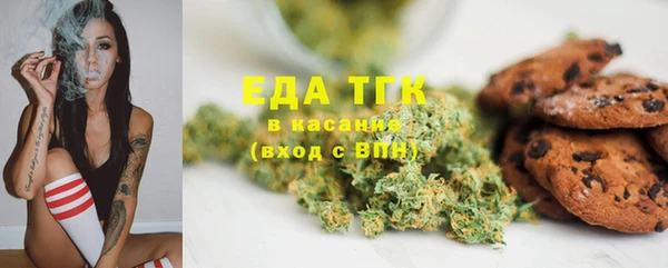 прущие грибы Надым