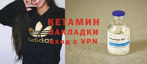 прущие грибы Надым