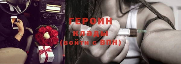 прущие грибы Надым