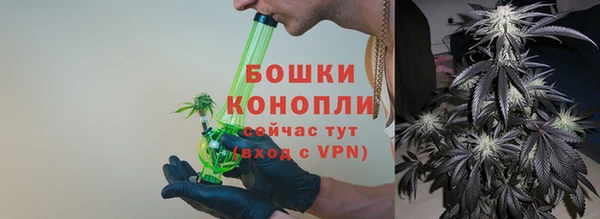 прущие грибы Надым