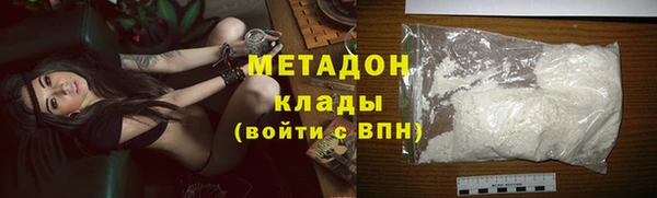прущие грибы Надым