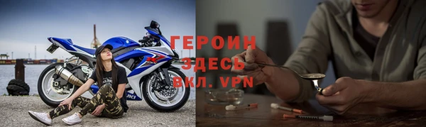 прущие грибы Надым