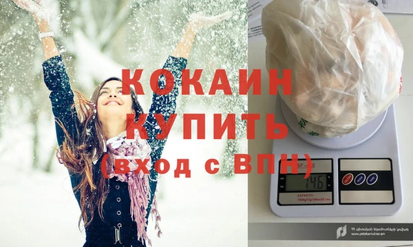 шишки Беломорск