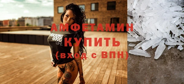 прущие грибы Надым