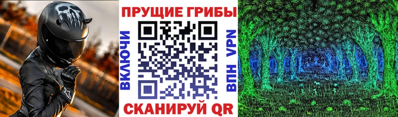 Псилоцибиновые грибы мицелий  Малмыж 